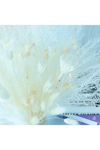 Karll Dried Bouquet Of Chbop Pampas, White