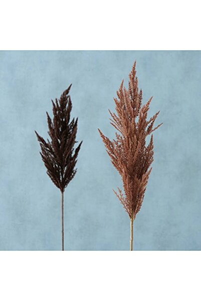 Homelux Pampas Decoration Plant 95 cm, Light Brown