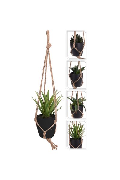 Homelux Planta decorativa in ghiveci, 9x9,5 cm, polipropilena, neagra, disponibila in 4 variante