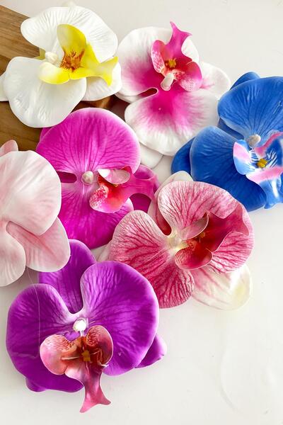 New Obsessions Karışık Renk- 6 Adet Aloha Orkide Çiçeği Floral Pens Toka