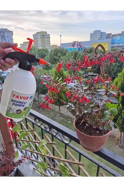 LEVA Pressurized Water Pump 2Lt Plant Watering and Spraying Pump White Orange