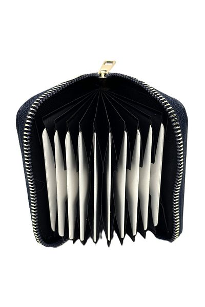 Womancraft Soft Leather Zippered Accordion Card Holder