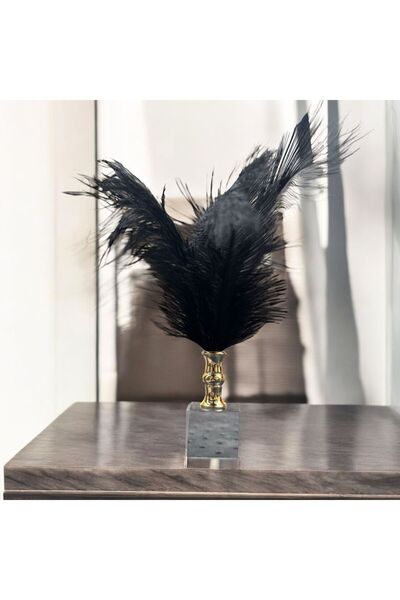 Peramari Dekoratif Küçük Boy Küp Kristal Cam Deve Kuşu Tüyü Siyah Gold