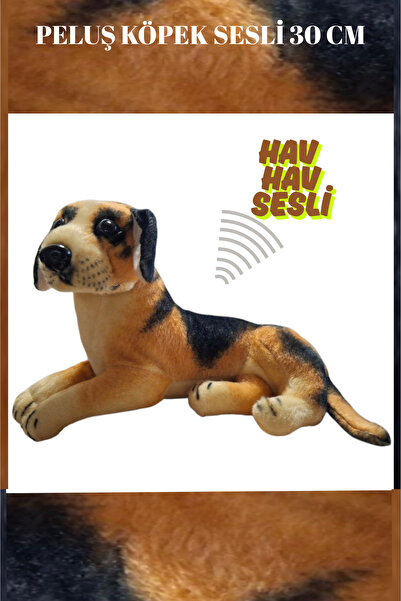 Akkuzu Kids Oturan Peluş Köpek Oyuncak Sesli 30 cm