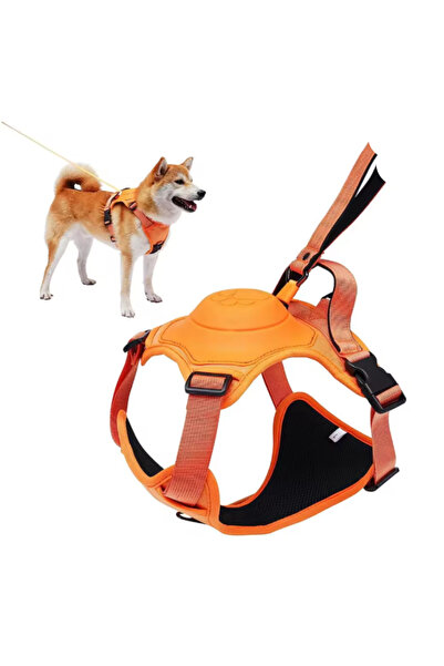 Lepus Köpek Göğüs Tasması Ultra Seri Otomatik Geri Çekilebilir Mekanizma