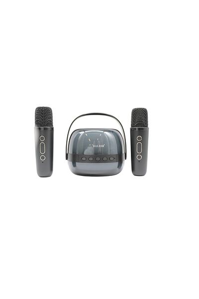 DALESH Wireless Speaker with 2 Microphones