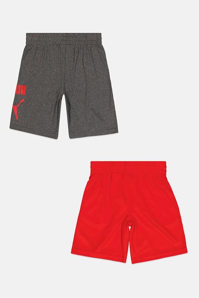 Puma Toddlers Boy 2 Pieces Brand Logo Shorts, Red/grey