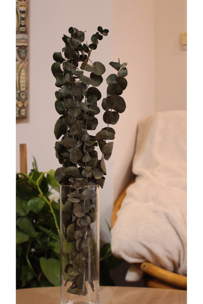 Butik KURUTULMUŞ ÇİÇEK