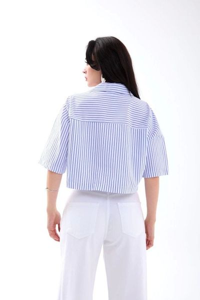 Butik 4873 Shirt-Washington Stripes