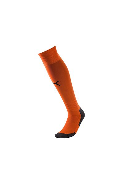 Puma Temliga Football Match Socks Football Leggings Football Field Socks Konç