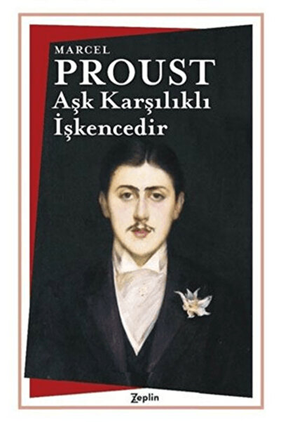 Zeplin Kitap Aşk Karşılıklı İşkencedir