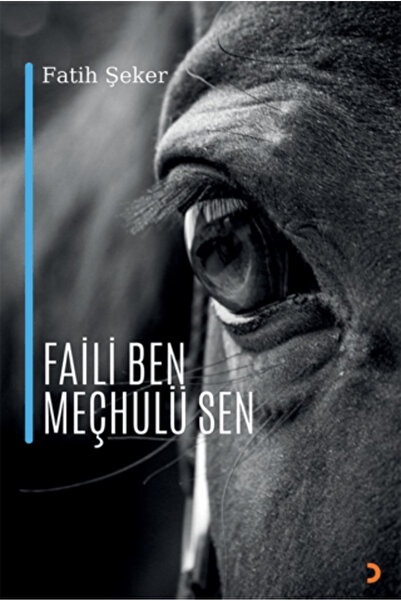 Cinius Yayınları Faili Ben Meçhulü Sen
