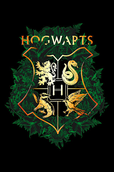 Harry Potter Harry Potter Hogwarts Men's T-Shirt