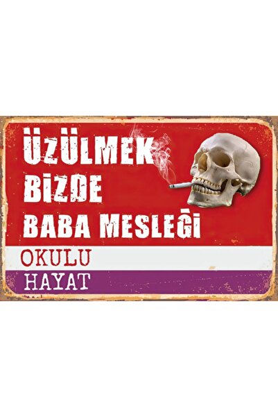 Pi Dekorasyon Hayat Okulu Retro Ahşap Poster