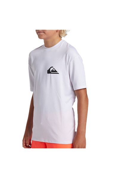 Quiksilver Everyday Surf Tee Ss Youth Boy Lycra Aqbwr03067