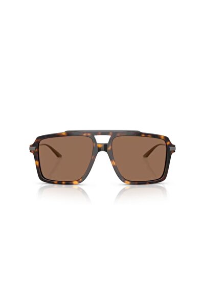 Dolce&Gabbana Dolce Gabbana Dg4477 502 73 56 Men's Sunglasses