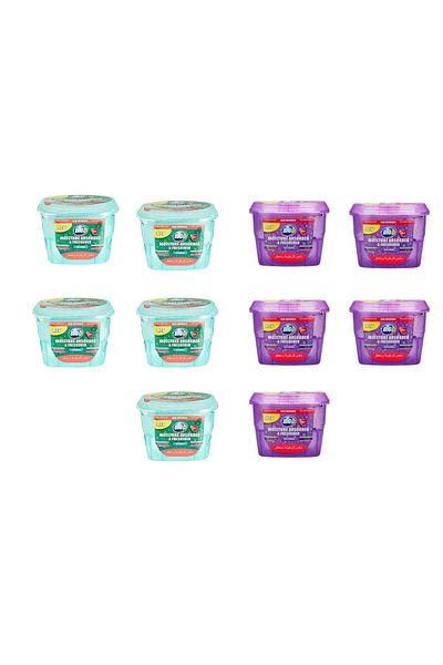 BigD Big D Moisture Absorber & Freshener – Pack of 10| Dual Fragrance Odor & Moisture Control