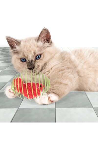 CT STONES Ct-Stones ®   Spring Metal Mouse Cage Cat Play Ball Bouncing Spiral Cat Ball