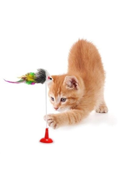 CT STONES Ct-Stones ®   Fun Plush Cat Toy with 2 Suction Cups, Mouse, Fur, Moving Bell, and Stretching Features