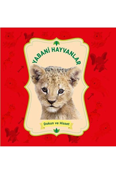 0-6 Yaş Yayınları الحيوانات البرية امسك وحس / إصدارات 0 6 سنوات / مجموعة