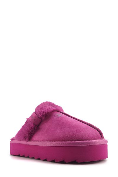 lumberjack Tody 4Pr Fuchsia Women's House Slippers
