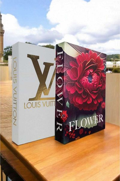 BayCazip Decorative Book Look Box Set of 2 Decorative Book Looking Box