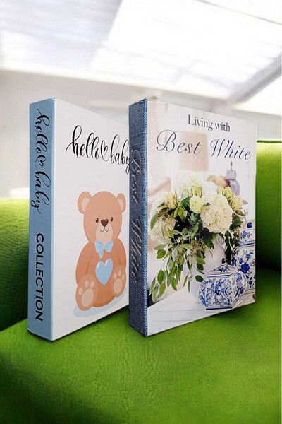 BayCazip Decorative Book Look Box Set of 2 Decorative Book Looking Box