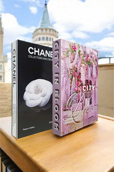 BGV HOME Decorative Book Look Openable Box 2 Pieces