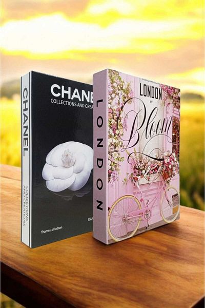 BayCazip Decorative Book Look Box Set of 2 Decorative Book Looking Box