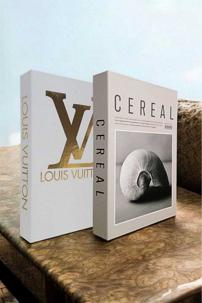 BayCazip Decorative Book Look Box Set of 2 Decorative Book Looking Box