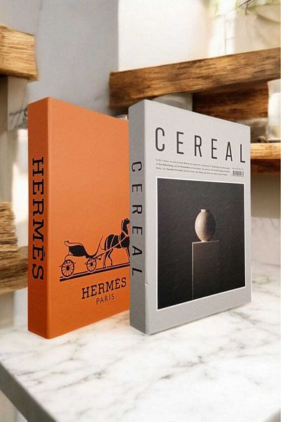 BayCazip Decorative Book Look Box Set of 2 Decorative Book Looking Box