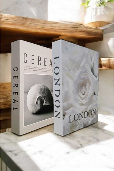 BayCazip Decorative Book Look Box Set of 2 Decorative Book Looking Box