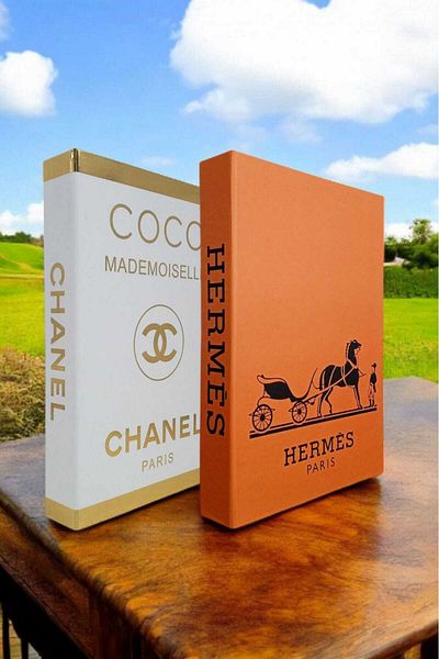 BayCazip Decorative Book Look Box Set of 2 Decorative Book Looking Box