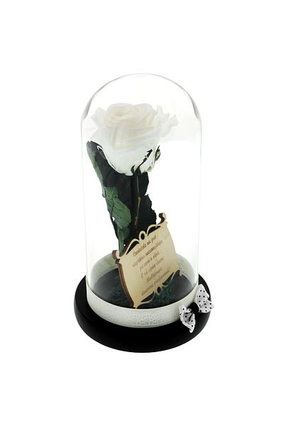 GiftExpress Teacher gift: white cryogenic rose under the dome with a message