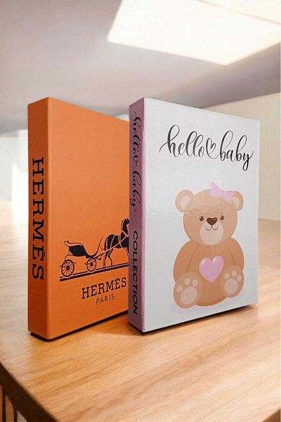 BayCazip Decorative Book Look Box Set of 2 Decorative Book Looking Box