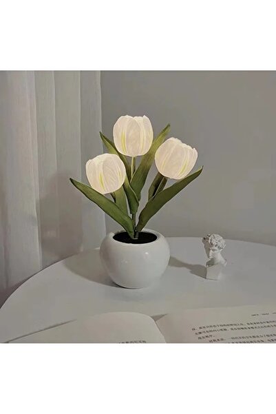 Choice مصباح توليب LED أبيض، محاكاة زهور ليلية، إضاءة مكتبية، ديكور طاولة الغ...