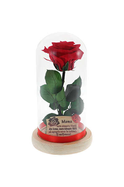 GiftExpress Trandafir Criogenat Cadou pentru Mama