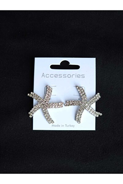 Avcıoğlu Aksesuar أقراط نسائية أقراط نسائية من حجر الزركون كريستال الزركون نج...