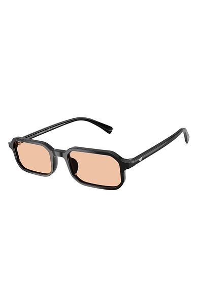 Emporio Armani 4253U 501793   54 Men's Sunglasses