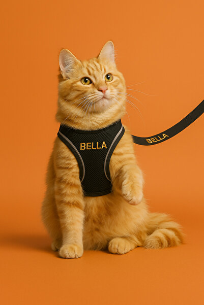 Lusi Doog İsme Özel Güvenlik Amaçlı Kaçış Önleyici Kedi Gezdirme Tasması İsim...