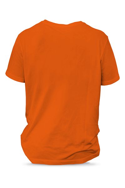 remonz Legolas Gym Lotr Regular Fit 100% Cotton Soft Textured Crew Neck T-Shirt