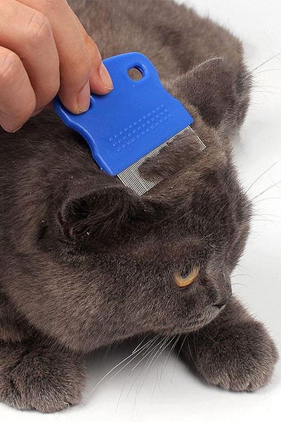 jetfast Cat Dog Lice Comb Cat Lice Flea Comb Dog Combing Brush Cat Hair Removal
