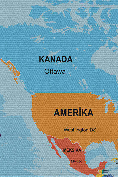 Lasirius Wall Covering, Current Turkish World Map with Carpet Detail, Quality Canvas Fabric