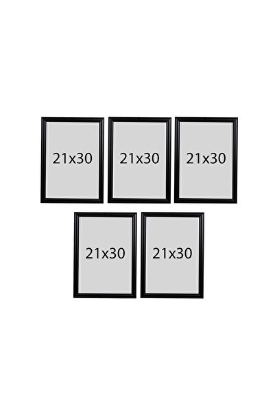 Araste 21x30 (A4) 5 Adet Çerçeve ( A Kalite) Pvc Li Model
