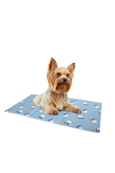 Camon Cooler Cooling Mat 96X81 cm C7953