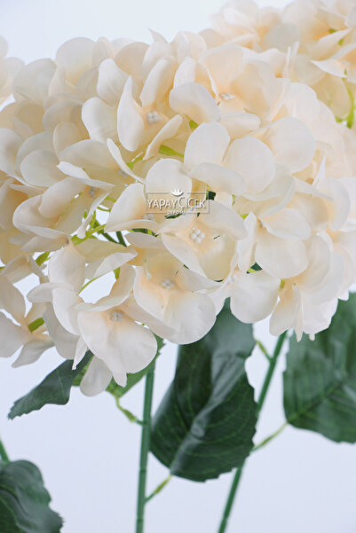 Yapay Çiçek Deposu Yapay Koca Kafa Ortanca Dalı 70 cm Krem