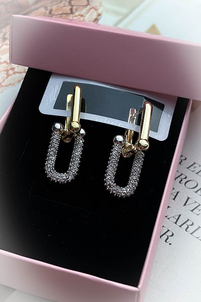 roshel Steel Gold Color Model Zircon Stone Earrings