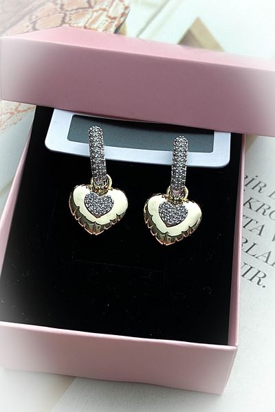 roshel Steel Gold Color Model Zircon Stone Earrings