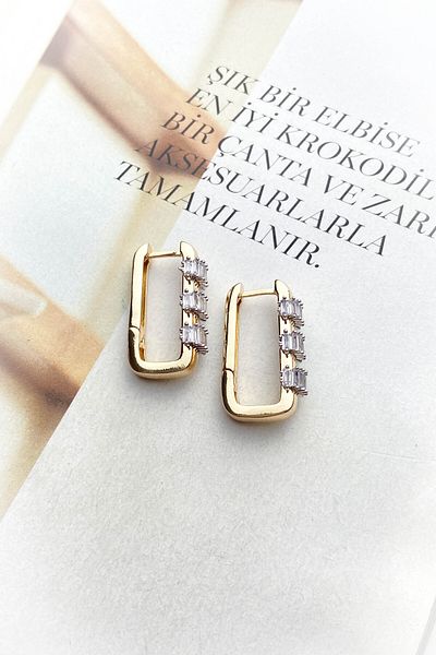 roshel Steel Gold Color Zircon Stone Earrings