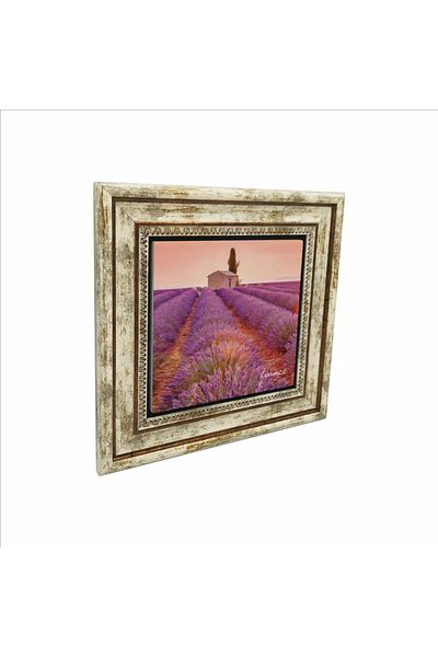 Sadrazam France Visual Printed Natural Stone Painting (25 X 25 Krg-10)